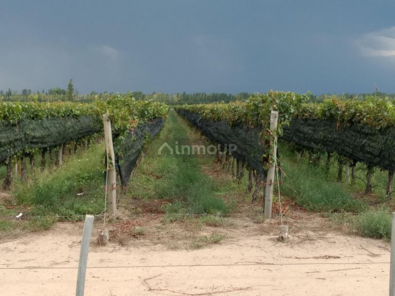 Finca en Venta en Tunuyan, Mendoza