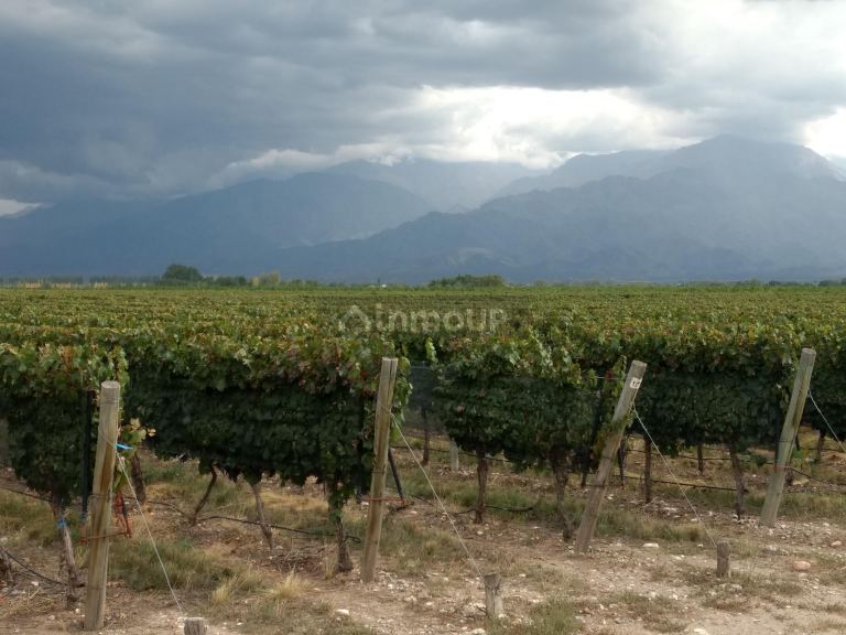 Finca en Venta en Tunuyan, Mendoza