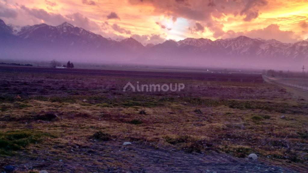Finca en Venta en Tunuyan, Mendoza