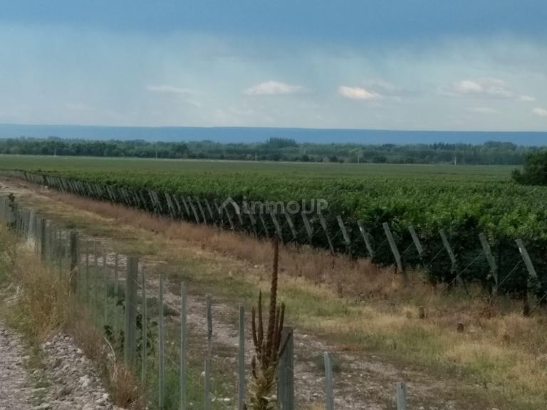 Finca en Venta en Tunuyan, Mendoza