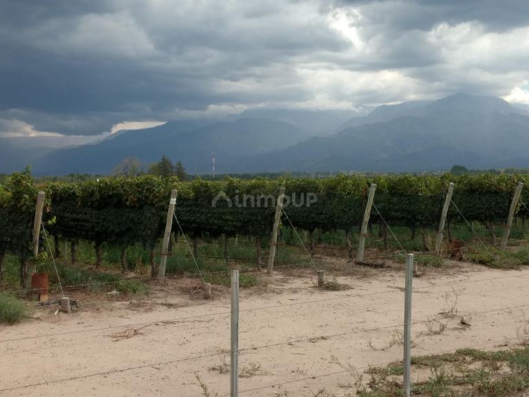 Finca en Venta en Tunuyan, Mendoza