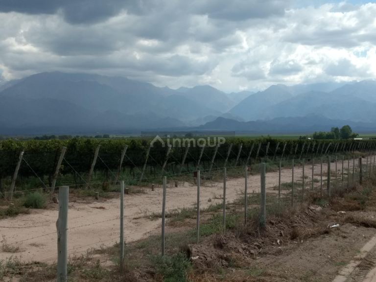 Finca en Venta en Tunuyan, Mendoza