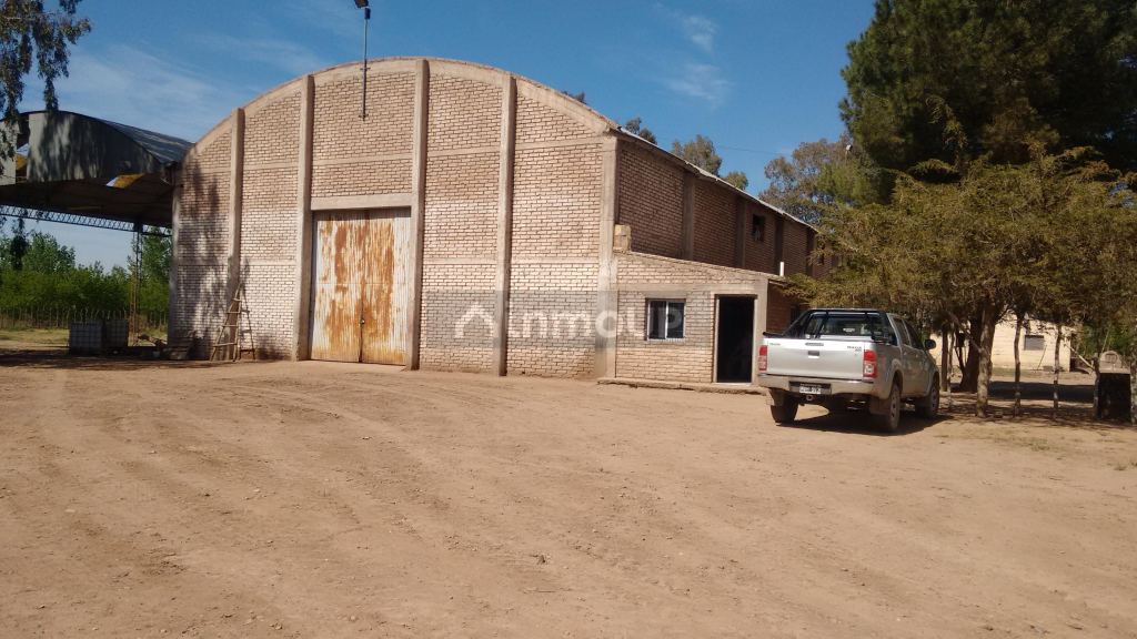Finca en Venta en Maipu, Mendoza