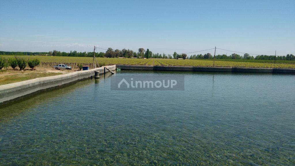 Finca en Venta en Maipu, Mendoza