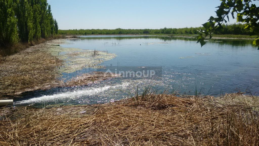 Finca en Venta en Maipu, Mendoza