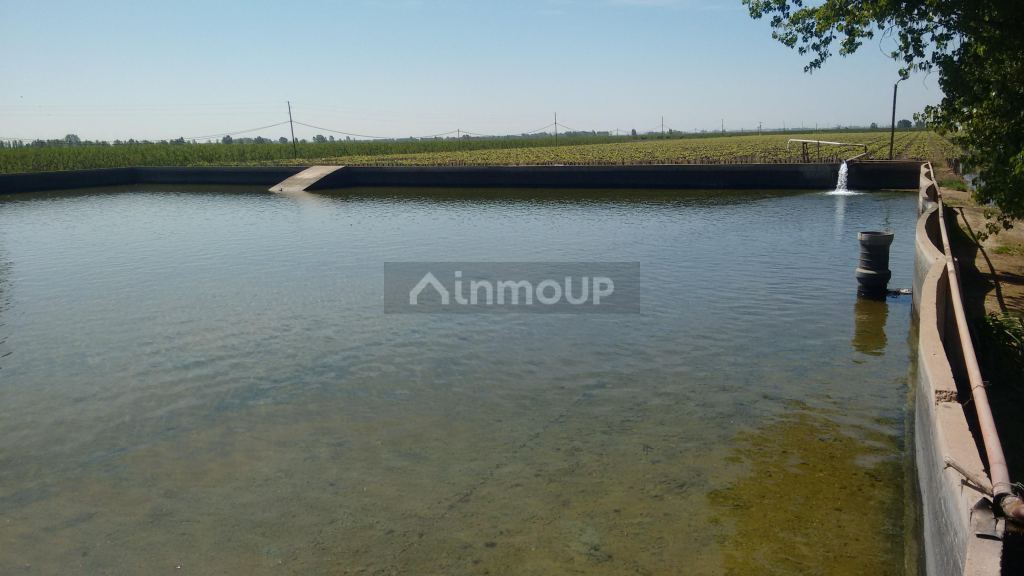 Finca en Venta en Maipu, Mendoza