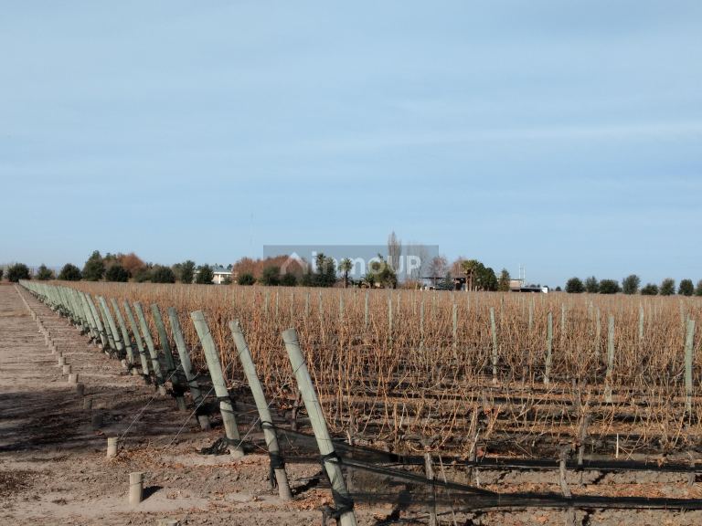 Finca en Venta en Tunuyan, Mendoza