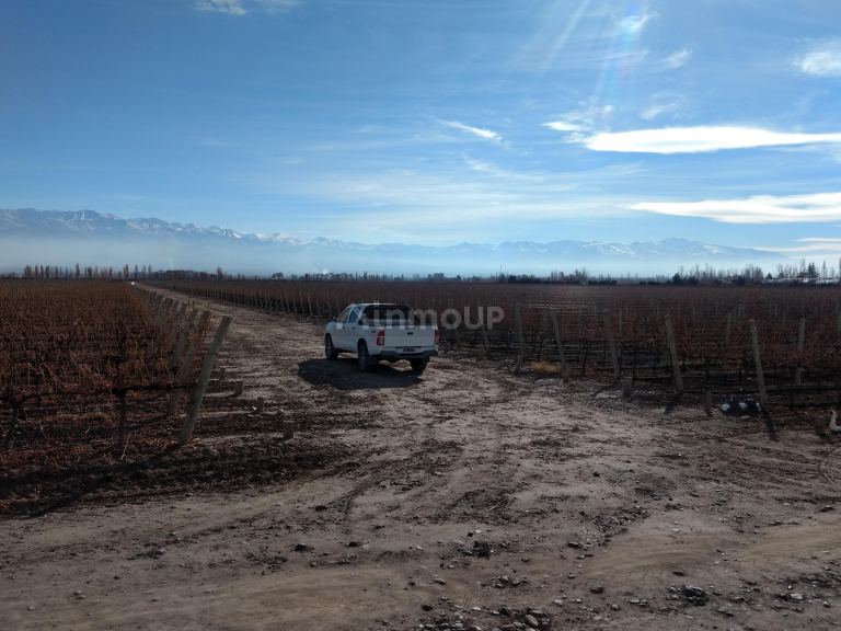 Finca en Venta en Tunuyan, Mendoza