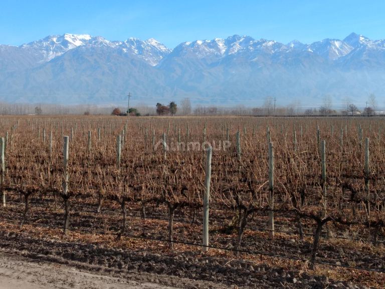 Finca en Venta en Tunuyan, Mendoza