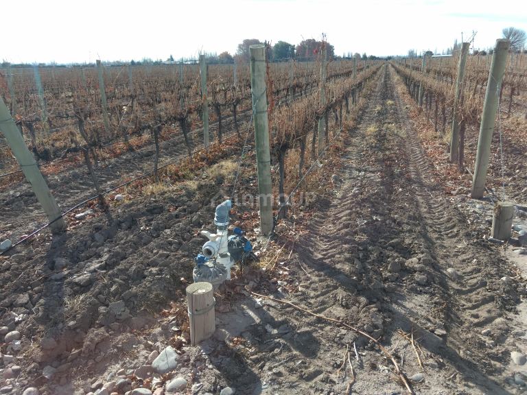 Finca en Venta en Tunuyan, Mendoza