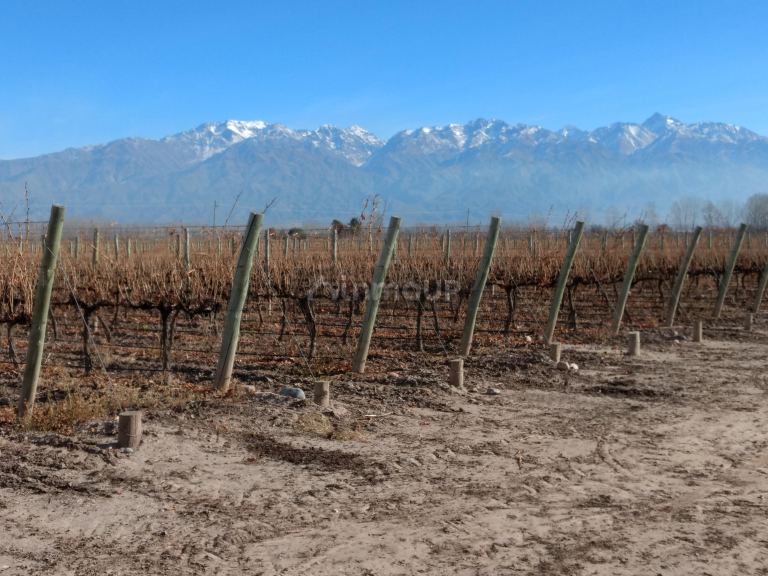 Finca en Venta en Tunuyan, Mendoza