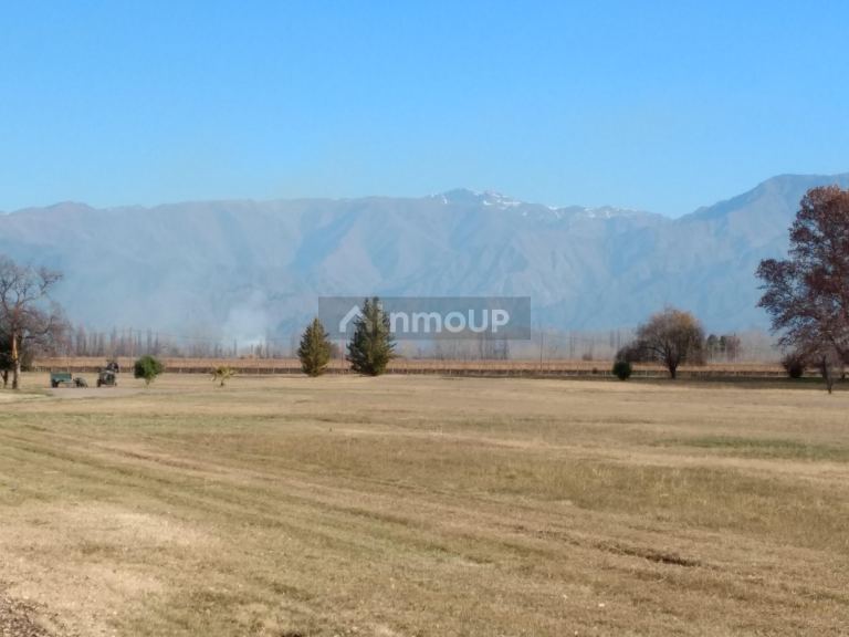 Finca en Venta en Tunuyan, Mendoza