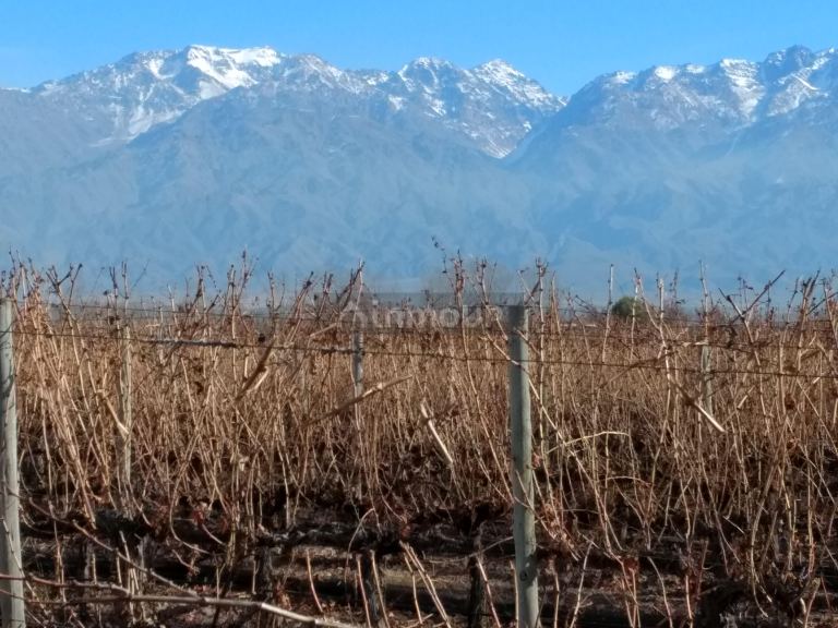 Finca en Venta en Tunuyan, Mendoza