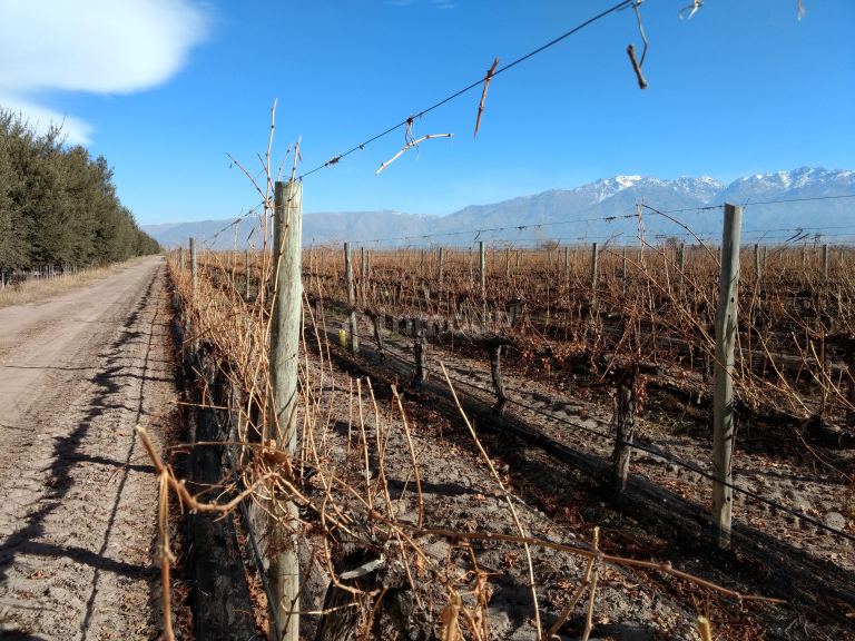 Finca en Venta en Tunuyan, Mendoza