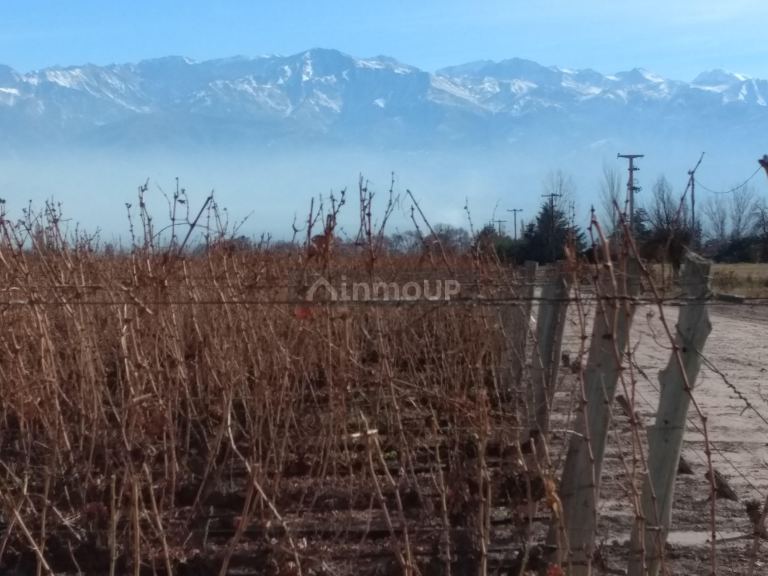 Finca en Venta en Tunuyan, Mendoza