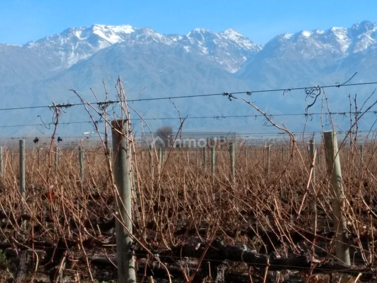 Finca en Venta en Tunuyan, Mendoza