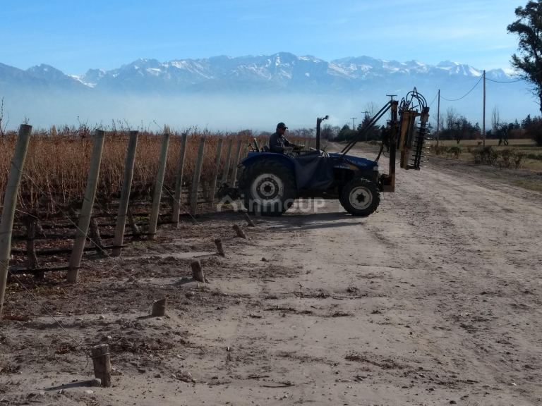 Finca en Venta en Tunuyan, Mendoza