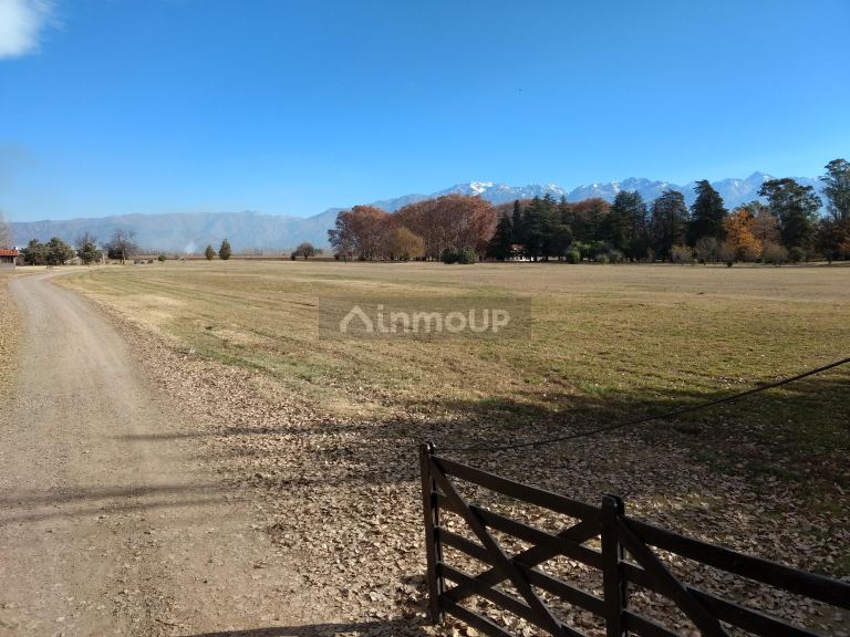 Finca en Venta en Tunuyan, Mendoza
