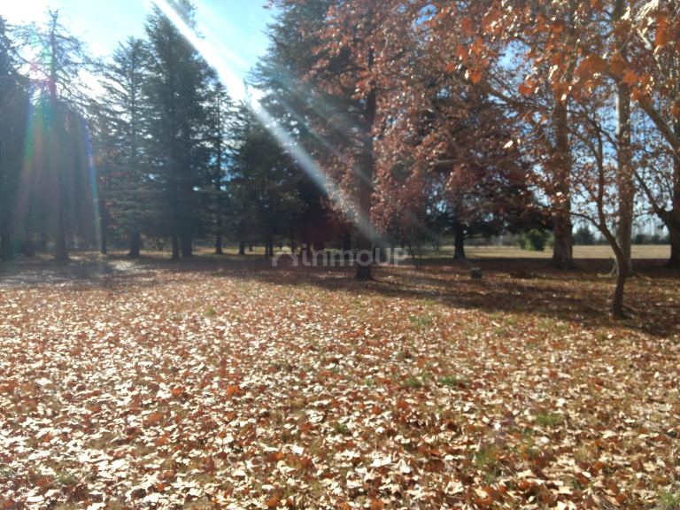 Finca en Venta en Tunuyan, Mendoza