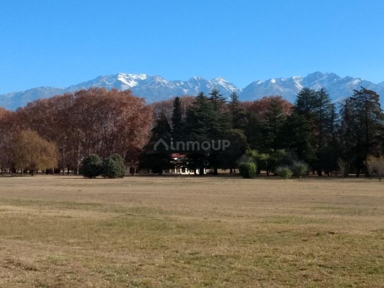 Finca en Venta en Tunuyan, Mendoza