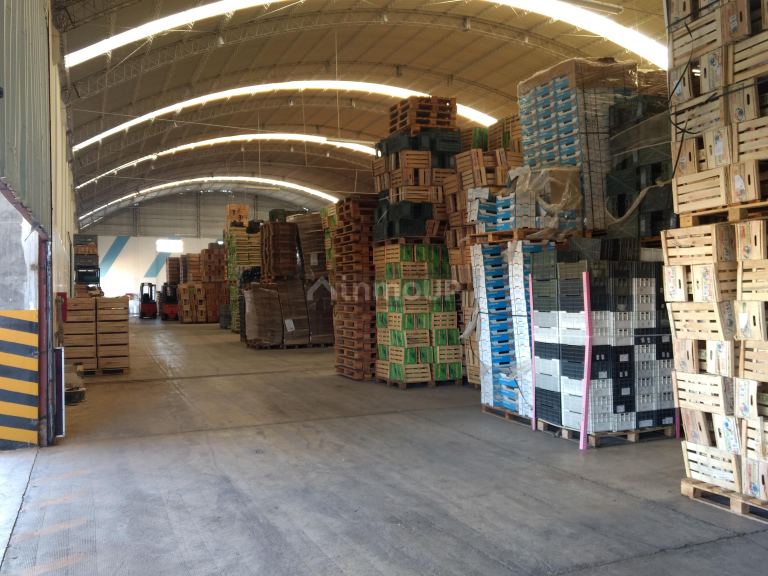 Industria en Venta en San Martin, Mendoza