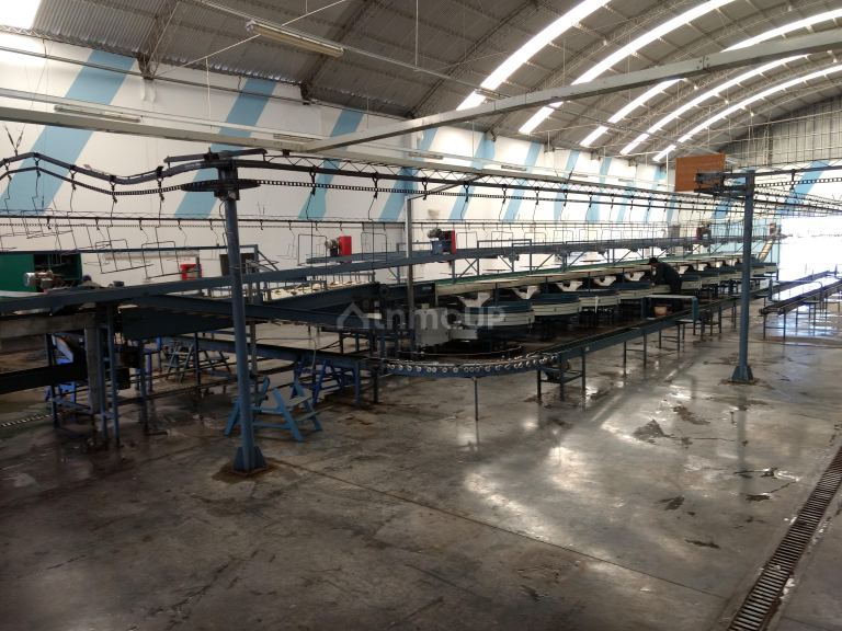 Industria en Venta en San Martin, Mendoza