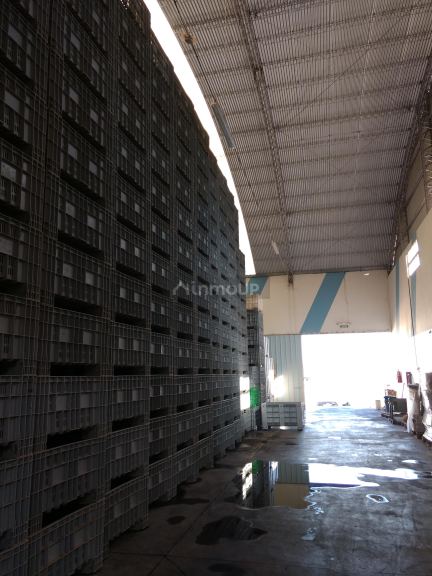 Industria en Venta en San Martin, Mendoza