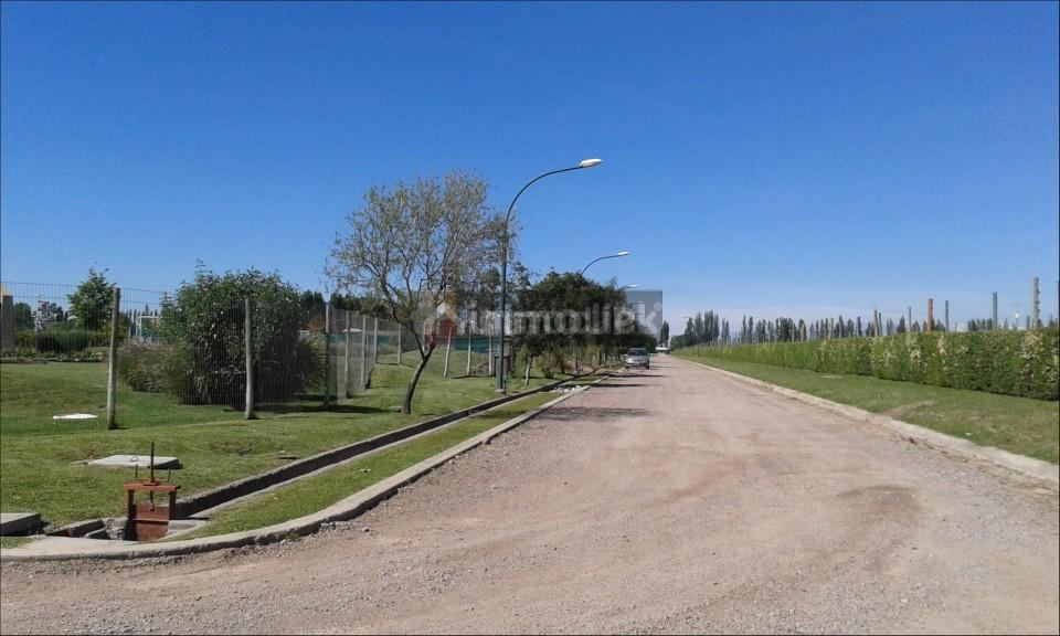 Lote en Venta en Vistalba, Mendoza