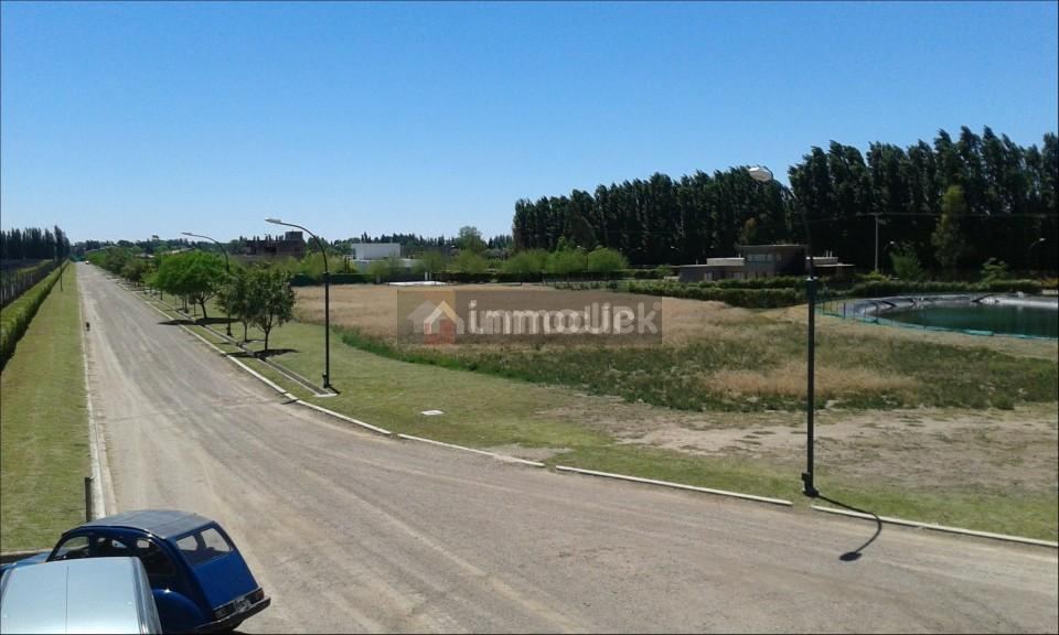 Lote en Venta en Vistalba, Mendoza