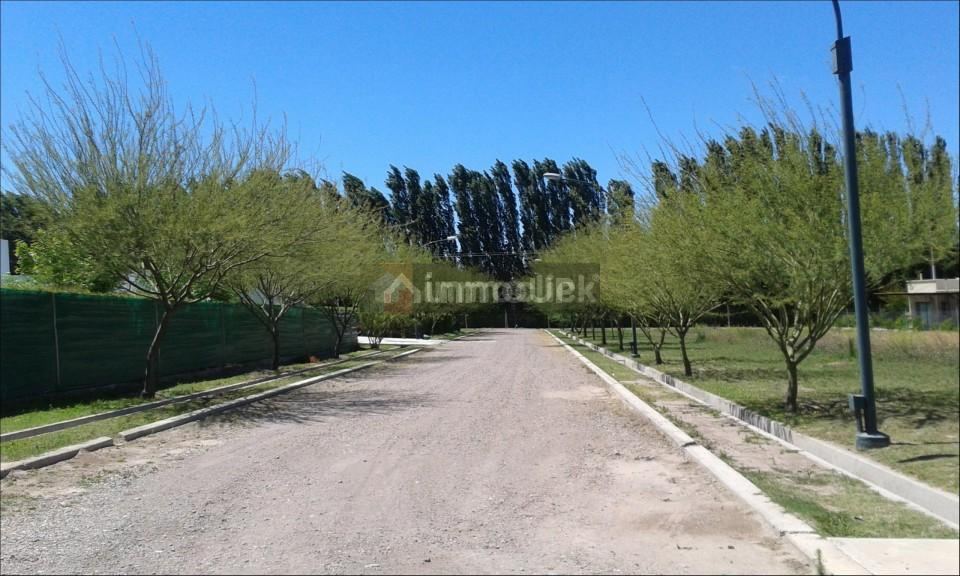 Lote en Venta en Vistalba, Mendoza