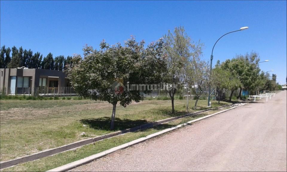 Lote en Venta en Vistalba, Mendoza