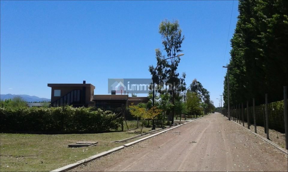 Lote en Venta en Vistalba, Mendoza
