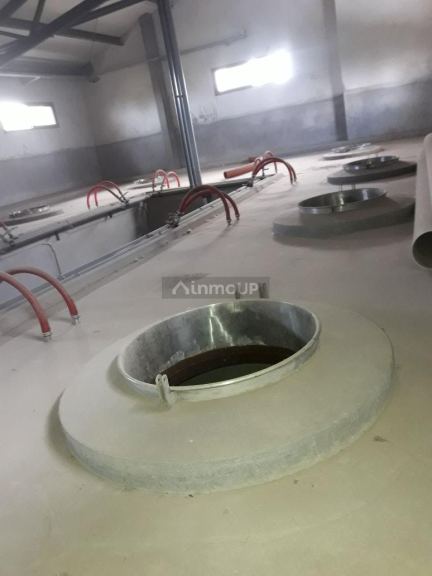 Bodega en Venta en Maipu, Mendoza