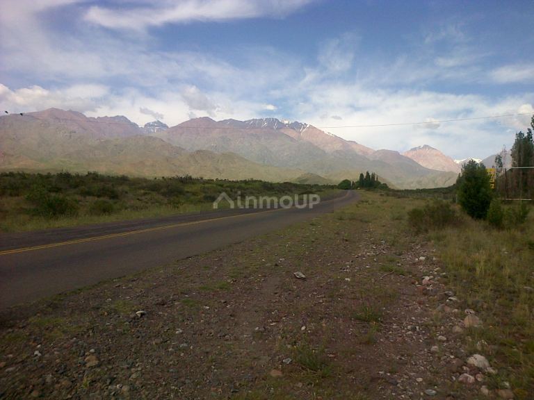 Finca en Venta en Tunuyan, Mendoza