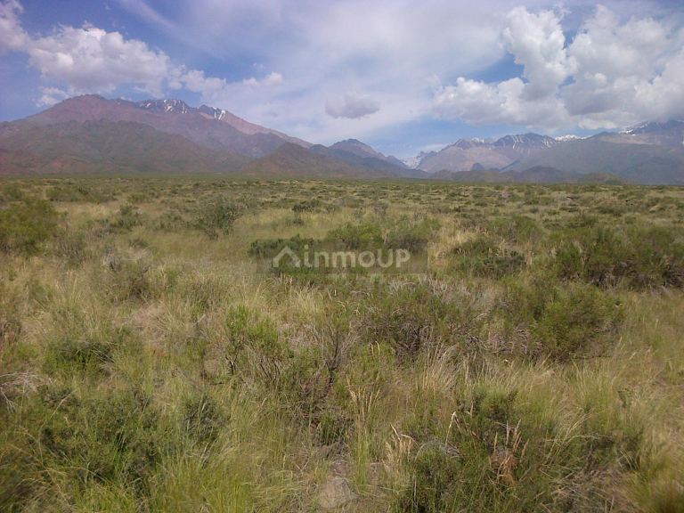 Finca en Venta en Tunuyan, Mendoza