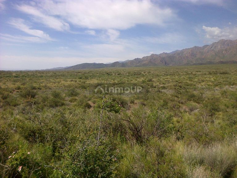 Finca en Venta en Tunuyan, Mendoza