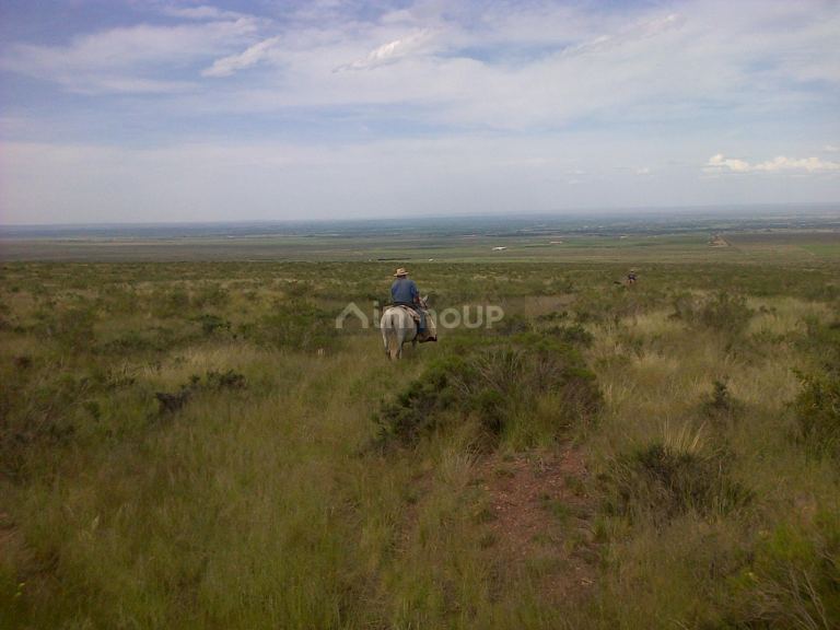 Finca en Venta en Tunuyan, Mendoza