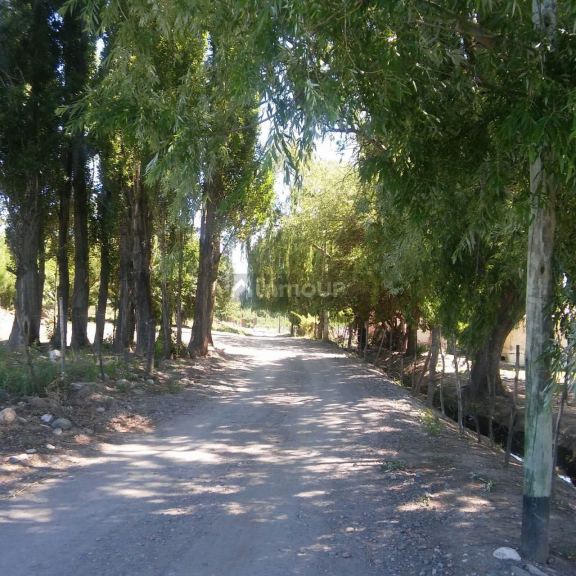 Casa en Venta en Tupungato, Mendoza