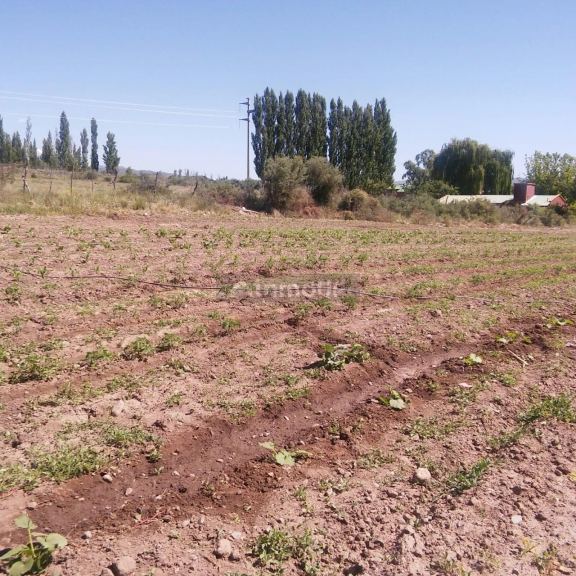 Casa en Venta en Tupungato, Mendoza