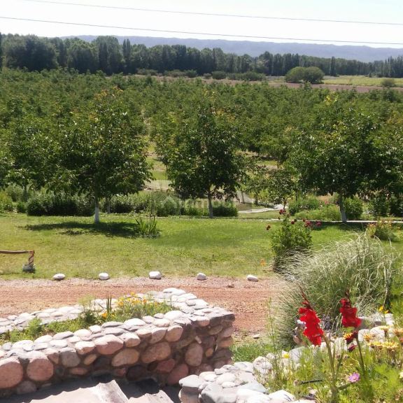 Casa en Venta en Tupungato, Mendoza