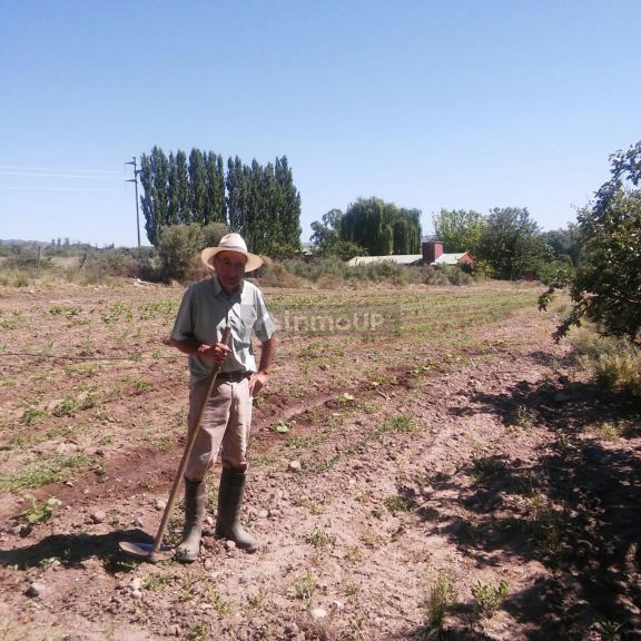 Casa en Venta en Tupungato, Mendoza