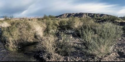 Finca en Venta en Calingasta, San Juan
