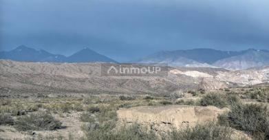 Finca en Venta en Calingasta, San Juan