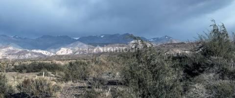 Finca en Venta en Calingasta, San Juan