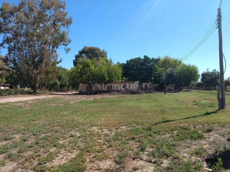 Finca en Venta en Lavalle, Mendoza