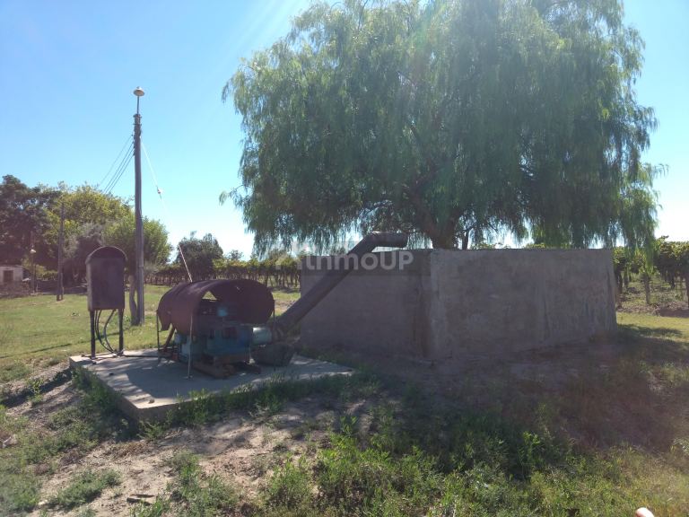 Finca en Venta en Lavalle, Mendoza