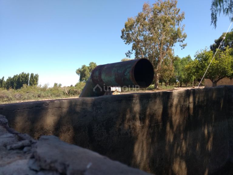 Finca en Venta en Lavalle, Mendoza