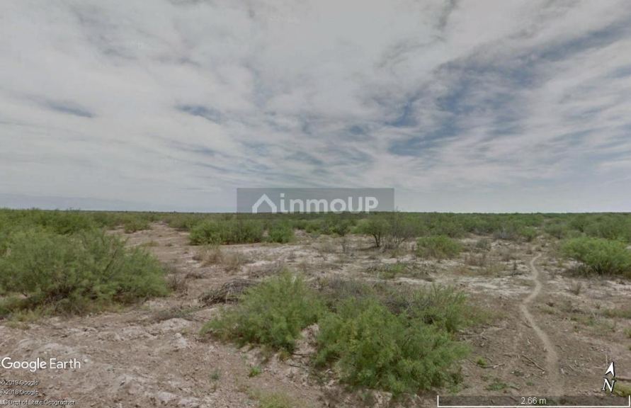 Campo en Venta en Lavalle, Mendoza