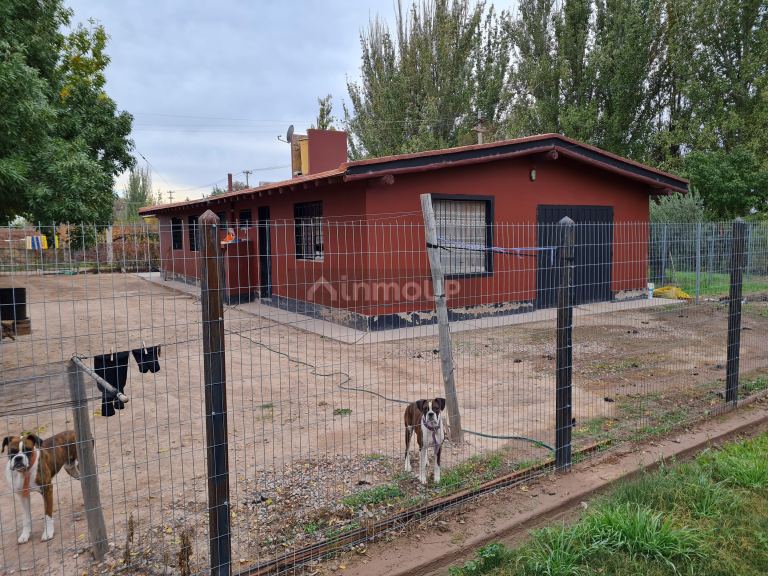 Finca en Venta en Lujan de Cuyo, Mendoza