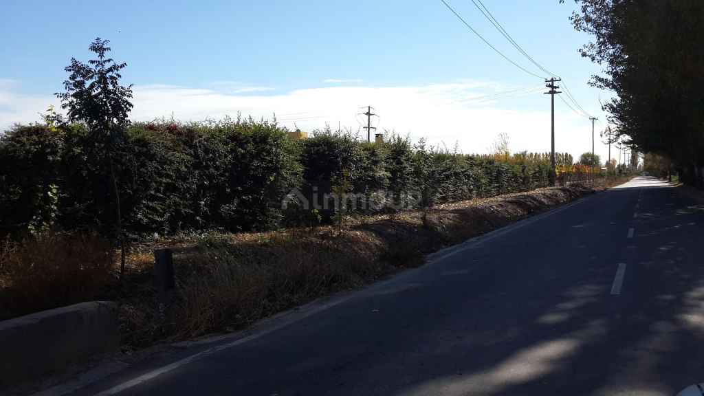 Finca en Venta en Lujan de Cuyo, Mendoza